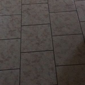 Meet your Posher, Elsa